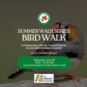 Summer Walk Series: 